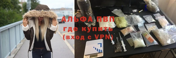 сатива Алексеевка