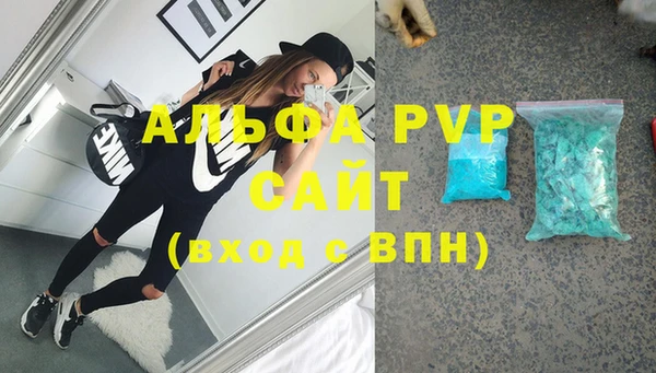 стафф Алзамай