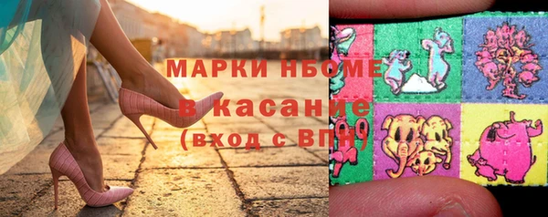 стафф Алзамай