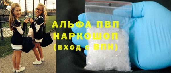 стафф Алзамай
