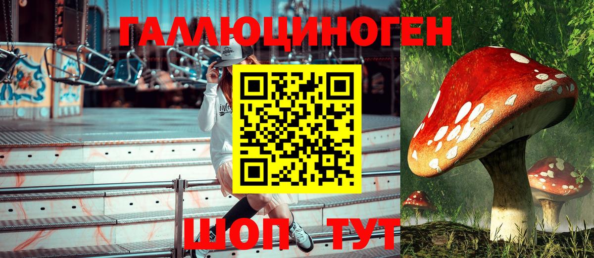 Галлюциногенные грибы мицелий Похвистнево