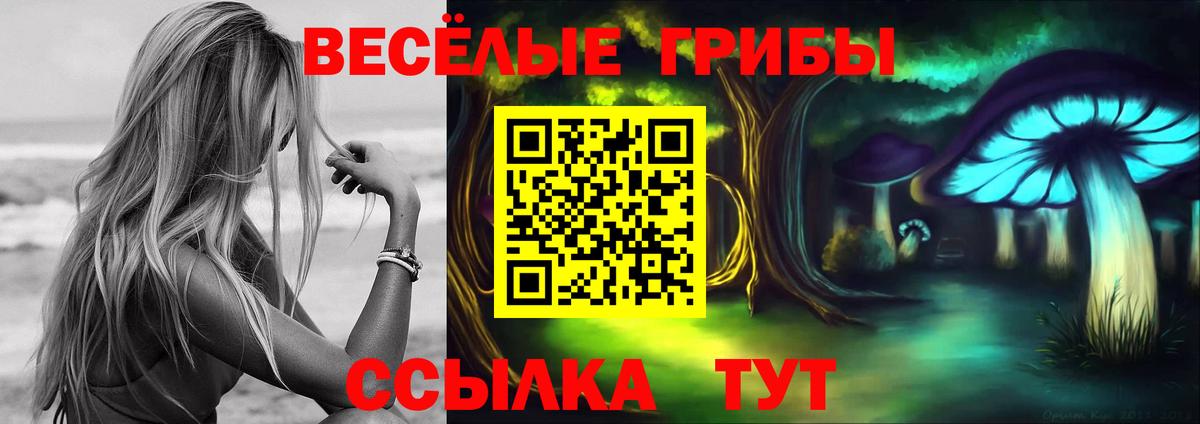 Галлюциногенные грибы GOLDEN TEACHER  Псилоцибиновые грибы Psilocybe  Похвистнево  Вход с VPN 