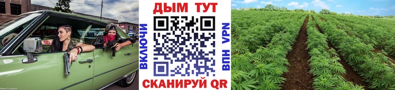 Бошки марихуана VHQ  Похвистнево 