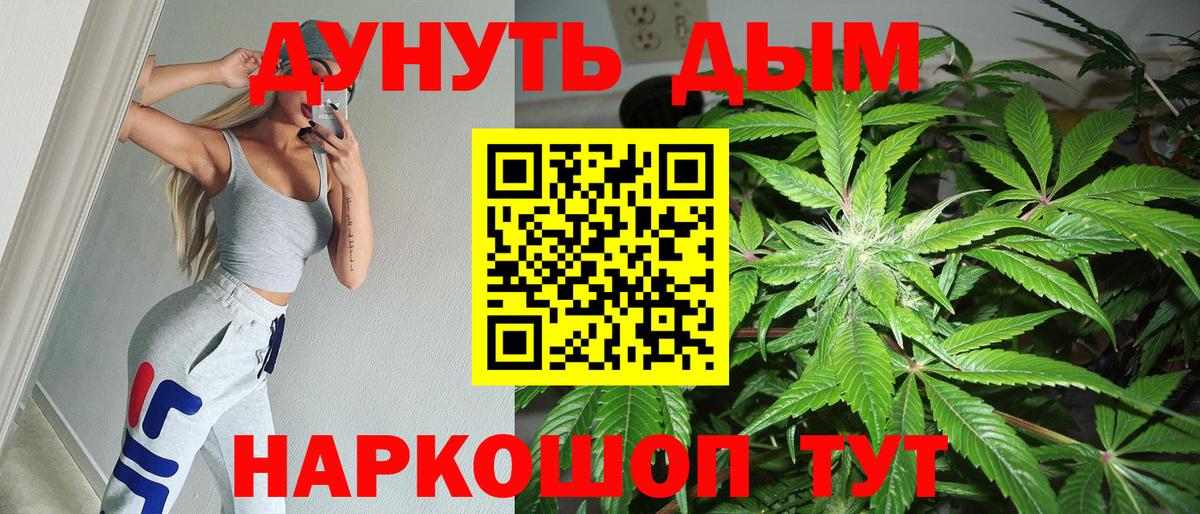 Шишки марихуана план Похвистнево